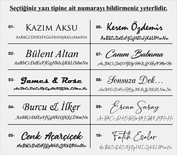 Premium Tavla Seti/Black-Green